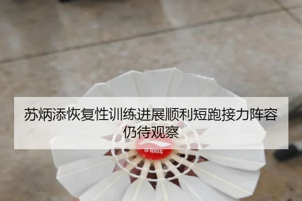 苏炳添恢复性训练进展顺利短跑接力阵容仍待观察 - Bsports